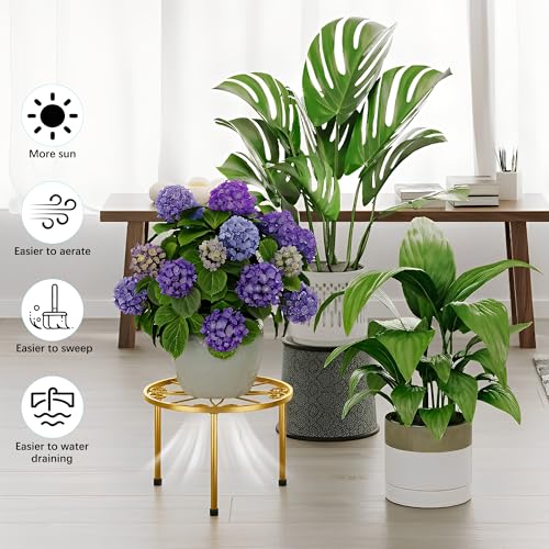5 Pack Outdoors Plant Holders Gold Plant Risers Indoor(GoldDiamond) - color: GoldDiamond