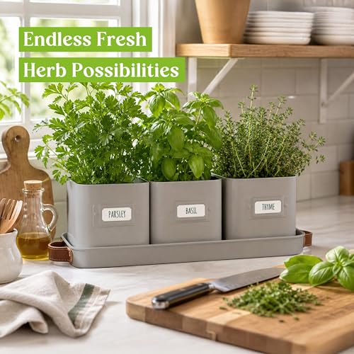 volila Herb Planter Indoor - Set of 3 Grey Indoor Herb Garden Pots for Plants with Leather Handled Tray - Window Sill Plant Shelf - Herb Pots with Drainage Holes and Labels - color: Charcoal Grey