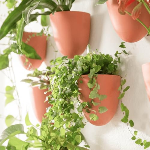 Make Good PlantPod Luxe - Self-Watering Wall Planters (Set of 6, Terracotta) - Easy to Water and Install - Lightweight - Design Your Own Vertical Garden - Wall Planters for Indoor Plants - color: Terracotta