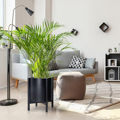 D'vine Dev Plastic Pot with Ebony Wood Stand, Black, 14 in, 55-C-T-2 | Mid-Century Inspired Design, Elevated Plant Display, Clean Lines, Sturdy Support, Modern Space-Saving Style - color: Matte Black Pot + Ebony Stand, size: 14 Inch