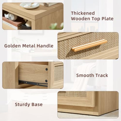 RWYHG 24'' Wide Farmhouse Night Stand with 2 Drawers,Rattan Nightstand | Modern Boho End Table Open Storage Shelf, Metal Handle, Mid-Century Wood Bed Side Table for Bedroom, Living Room - color: Natural（rattan ）