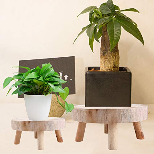 Wood Plant Stands Indoor Outdoor, 9cm/3.5 Tall Plant Holder Wooden Stool Display Stand Flower Pot Stand Small Round Side Plant Table Planter Stands for Indoor Plants (Wood, 14cm)