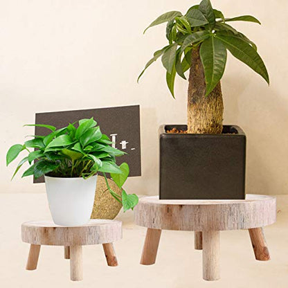 Wood Plant Stands Indoor Outdoor, 9cm/3.5 Tall Plant Holder Wooden Stool Display Stand Flower Pot Stand Small Round Side Plant Table Planter Stands for Indoor Plants (Wood, 14cm)