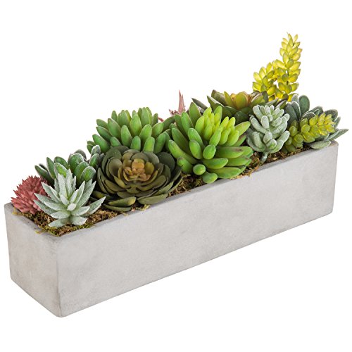 MyGift Faux Succulent Plant Arrangement in 12-Inch Gray Cement Pot - color: Gray Cement