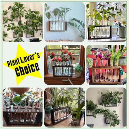 XXXFLOWER 5Test Tube Plant Propagation Station Plant Terrarium Wooden Stand | Glass Planters for Indoor Plants,Plant Lover Gifts for Women Mom Wife Daughter,Garden Office Room Decoration - size: 5 Glass Tubes Vases