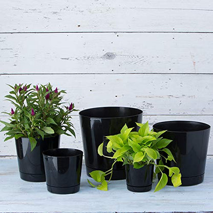 Root & Vessel Majestic Full Depth Round Cylinder Pot, Glossy Black, 8-Inch (10088) - color: Black, size: 8 Inch