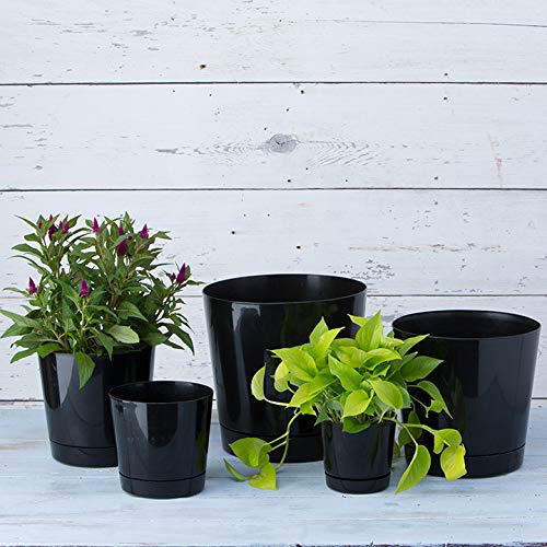Novelty Majestic Full Depth Round Cylinder Pot, Glossy Black, 12-Inch (10128) - color: Black, size: 12 Inch