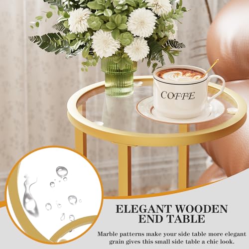 Easy Paws C Table Side End Table,Glass Couch Side Tables for Living Room, Round Sofa End Table with Metal Frame, Small Snack Table for Bedroom, Small Spaces, Easy Assembly (Gold,2pcs) - color: Gold