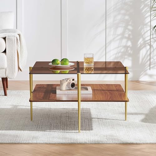 LumFurn Square Coffee Table, Mid-Century Modern Design, L30 x W30 x H17 Inch, for Living Room, 2-Tier Structure, Amber Glass Top and Walnut Wood Shelf, Sleek Conical Metal Legs with Gold Finish - color: Amber & Walnut, size: L30" Square Coffee Table