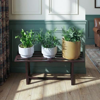 2-Pack Elegant Mid-Century Modern Metal Tiered Plant Stand Robust 330 lbs Capacity Versatile Indoor Outdoor Display for Living Room, Patio & Balcony Coffee - color: 1 Tier Coffee