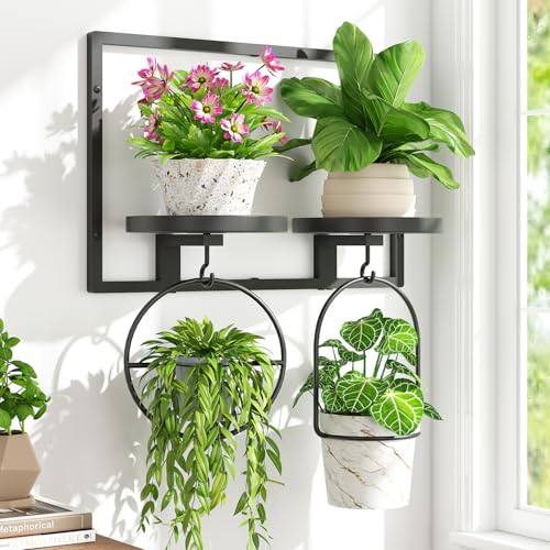 iDavosic.ly Wall Plant Picture Frame Holder with 2 Trays for Indoor, Metal Stand with Hanging Hooks, Floating Flower Display Decor, Space Saving & Easy to Assemble (Pots/Chains/Plants Not Included) - color: Black, 2-Tray, size: Rectangular