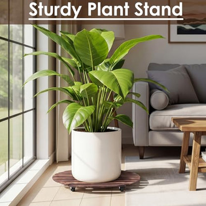 Novabright 25" Wooden Rolling Plant Heavy Duty Dolly Caddy with Locking Wheels Heavy Duty Wooden Plant Dolly Mobile Stand for Large Pots Small Furniture Outdoor(2 Pcs) - size: 25 Inch