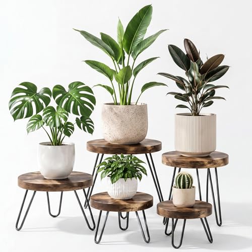5 Pack Wood Plant Stand Set Indoor Outdoor, Plant Stand with Metal Leg for 6-12 Inch Pot, Mid Century Modern Stool, Boho Rustic Attractive Holder Multi-size for Living Room Bedroom Balcony Home Decor