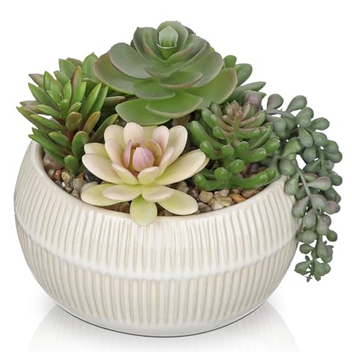 DILATATA Artificial Succulent Plants in Pot 5.5 Inch Fake Succulents Arrangement Potted Plant in White Ceramic Planter Bowl for Home Office Desk Shelf Living Room Bedroom Bathroom Decor - color: White Ceramic#style 4