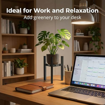 Adjustable Desktop Plant Stand, Metal Plant Shelf Fits 5.1-7.45" Pots for Succulents, Bonsai & Office (Without Pots) - color: Black