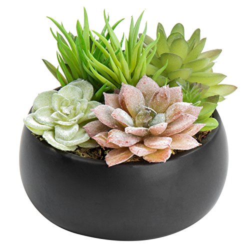 MyGift Mini Artificial Succulent in Pot, Fake Plant Arrangement in Black Ceramic Planter Bowl - color: Black