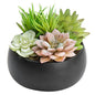MyGift Mini Artificial Succulent in Pot, Fake Plant Arrangement in Black Ceramic Planter Bowl - color: Black