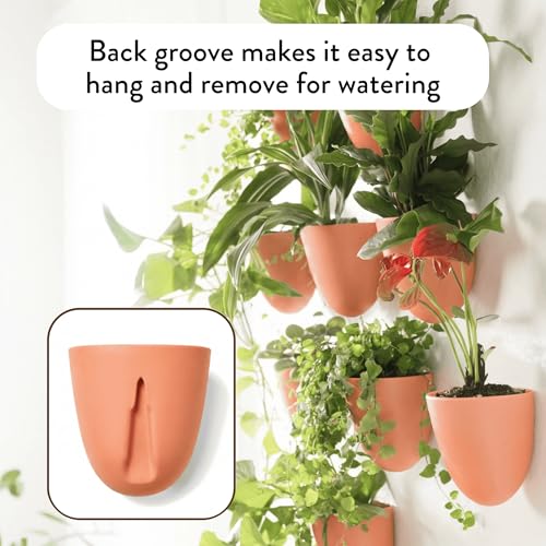 Make Good PlantPod Luxe - Self-Watering Wall Planters (Set of 6, Terracotta) - Easy to Water and Install - Lightweight - Design Your Own Vertical Garden - Wall Planters for Indoor Plants - color: Terracotta