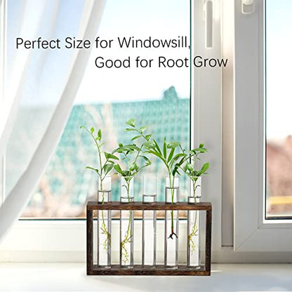 XXXFLOWER 5Test Tube Plant Propagation Station Plant Terrarium Wooden Stand | Glass Planters for Indoor Plants,Plant Lover Gifts for Women Mom Wife Daughter,Garden Office Room Decoration - size: 5 Glass Tubes Vases