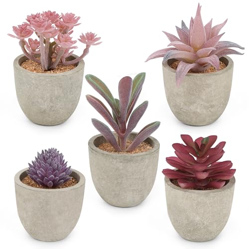 Coitak Artificial Succulent Plants Potted, Assorted Decorative Faux Succulent Potted Fake Cactus Cacti Plants with Pots, Set of 5 (Purple) - color: Purple