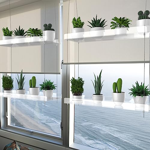 2-Tier Hanging Clear Plant Shelves for Windows,16 Inch per Tier | Acrylic Window Wall Plant Stand Shelf for Kitchen Indoor Gardens, Flower,Herb, Seedling Organization, and Pots Display. - size: 2 Tier