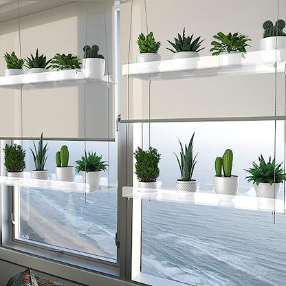 2-Pack Hanging Clear Plant Shelves for Windows,16 Inch per Tier | Acrylic Window Wall Plant Stand Shelf for Kitchen Indoor Gardens, Flower, Herb, Seedling Organization, and Pots Display. - size: 2 Pack-2 Tier