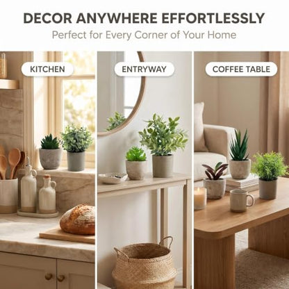 AUUGUU Artificial Potted Plants Faux Greenery in Cement Pots for Shelf, Bookshelf, Office or Home Decor, Small Decorative Fake Plants for Modern Indoor Display
