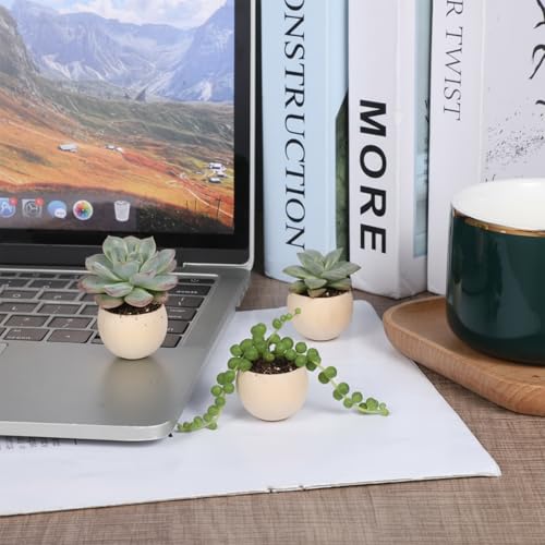 3PCS Wood Air Plant Holder, Rustic Style Airplant Display Stands, Air Plant Pots for Women Gifts Home Office Tabletop Decor