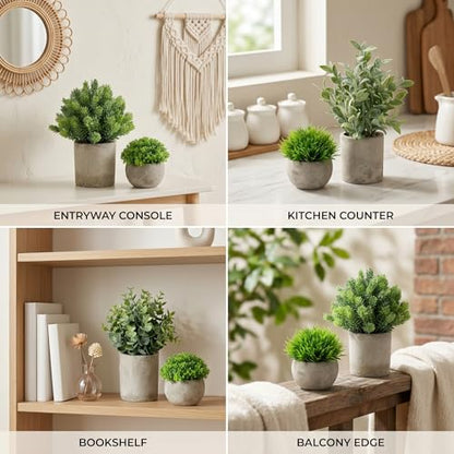 5 Pack Small Fake Plants with Cement Pots - Realistic Faux Greenery Set, No Watering Low Maintenance, UV Resistant Artificial Plants for Shelf Office Bathroom Desk Decor, Indoor & Outdoor