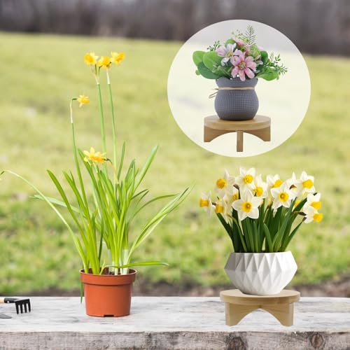 Oedema 6 Inch Round Solid Wood Flower Plant Stand | Mid Century Modern, Indoor Use, Desktop & Office Decor, Small Plants Display Riser, Decor Planter Stand - size: 6inch/153mm