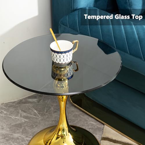 Luxury Round End Table Gold Metal Base 17.7inch Black Tempered Glass Top Modern Small Side Table Living Room Table Sofa Small Coffee Tables Cute Shape (Glod+Glass) - color: Glod+glass