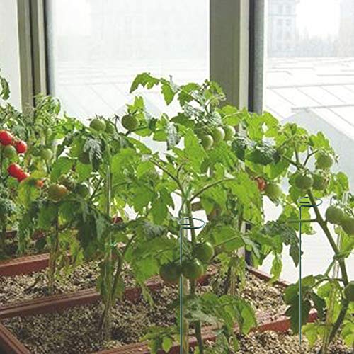 Plant Stake Support - 6 Pack, Garden Single Stem Support Stake Plant Cage Support Rings, Single Stem Plant Support Stakes, Plant Twist Ties, for Flowers Amaryllis Tomatoes Peony Lily Rose (15.9 inch) - size: 15.9inch