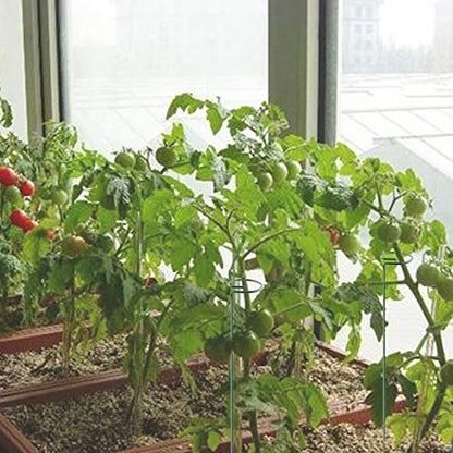 Plant Stake Support - 6 Pack, Garden Single Stem Support Stake Plant Cage Support Rings, Single Stem Plant Support Stakes, Plant Twist Ties, for Flowers Amaryllis Tomatoes Peony Lily Rose (15.9 inch) - size: 15.9inch