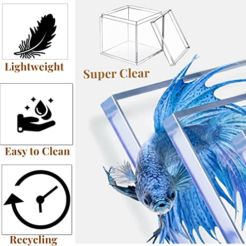 KissYou Small Acrylic Box Clear Display Case Plastic Square Cube 2 Packs Candy Box with Lid Jewelry Storage Contanier - size: 1.77 x 1.77 x 1.77 Inch