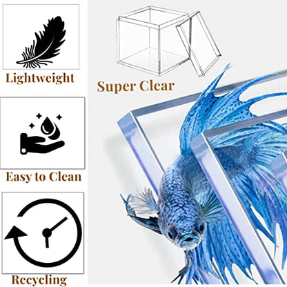 KissYou Acrylic Box Clear Box with Lid for Display, Plastic Square Cube 2 Pack Storage Contanier Party Decorative Boxes - size: 3.15 x 3.15 x 3.15 Inch