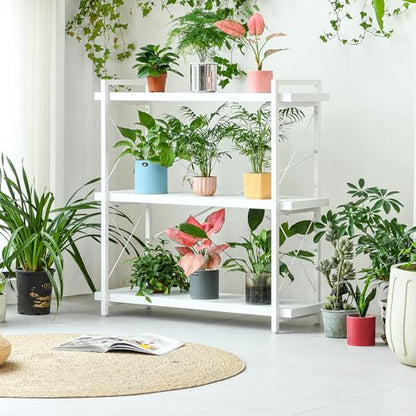 HCHQHS Bookshelf, 3-Tier Industrial Bookcase, White Open Book Shelf, Freestanding Horizontal Bookshelves with Metal Frame - color: Cloud White, size: 3-Tier (35.8"W x 35.8"H)
