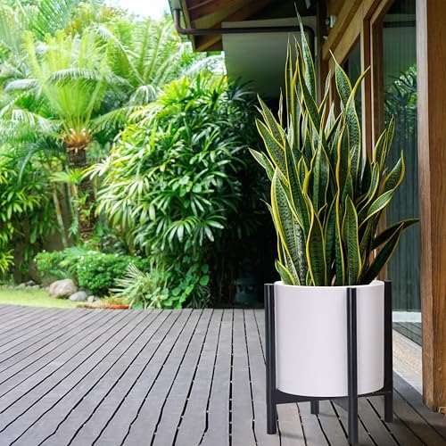 D'vine Dev Plastic Pot with Ebony Wood Stand, White, 14 in, 55-C-T-1 | Mid-Century Inspired Design, Elevated Plant Display, Clean Lines, Sturdy Support, Modern Space-Saving Style - color: Matte White Pot + Ebony Stand, size: 14 Inch