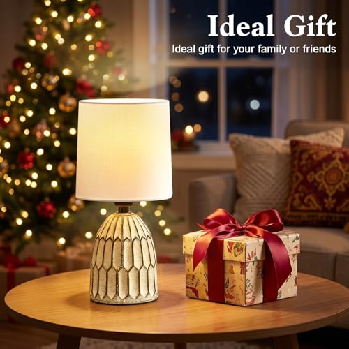 EJIAXIN Small Table Lamp -13.5" Boho Lamp - Bedside Lamps - Farmhouse Rustic Ceramic Table Lamp for Bedroom, Living Room, Nightstand, Office, Side Desk Lamp, End Table Lamp - style: Retro