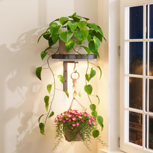 iDavosic.ly Plant Wall Hanger with Grow Light for Indoor, Metal Hook, Black | Floating Single Flower Display Holder Stand for Window Corner, Space Saving, Easy to Assemble (Pots/Chains Not Included) - color: Black with Light, size: 1 Pack