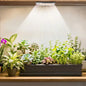 Under Shelf Grow Light, Stick On LED Plant Light, Indoor Plants with Timer | USB Powered Under Cabinet Grow Light, Full Spectrum 3500K High PPFD Puck Light for Shelves, Terrarium & Indoor Plants - size: 1 Head 1 Pack Plus