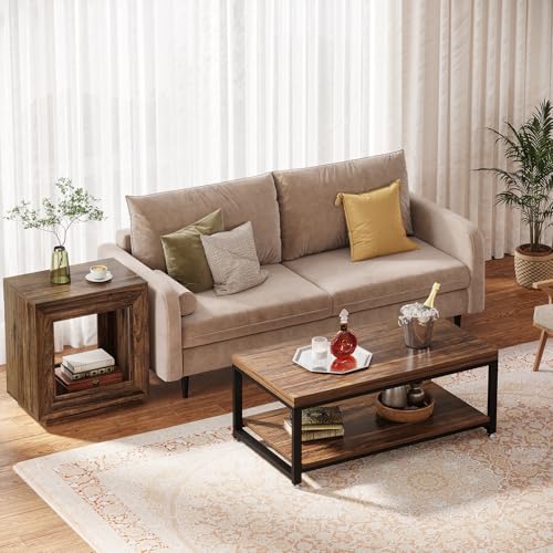 Tribesigns Rustic Wood End Table, 2 Tiered Square Side Table with Storage Shelf, Industrial Sofa Side Table for Living Room, Entrance (Rustic Brown) (1) - color: Brown