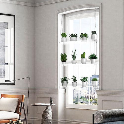 2-Pack 3-Tier Clear Acrylic Hanging Window Plant Shelves for Indoor Use | Wall-mounted plant shelves for herbs, seedlings, flowers and potted plants. Maximizes window space for indoor growing. - size: 2 Pack-3 Tier