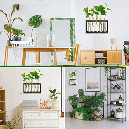 XXXFLOWER 5Test Tube Plant Propagation Station Plant Terrarium Wooden Stand | Glass Planters for Indoor Plants,Plant Lover Gifts for Women Mom Wife Daughter,Garden Office Room Decoration - size: 5 Glass Tubes Vases