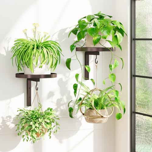 iDavosic.ly Plant Wall Hanger Holder Set of 2 for Indoor Outdoor, Bronze | Metal Floating Flower Display Stand for Window with 2 Hooks, Space Saving, Easy to Assemble (Pots/Chains/Plants Not Included) - color: Bronze, size: 2 Pack