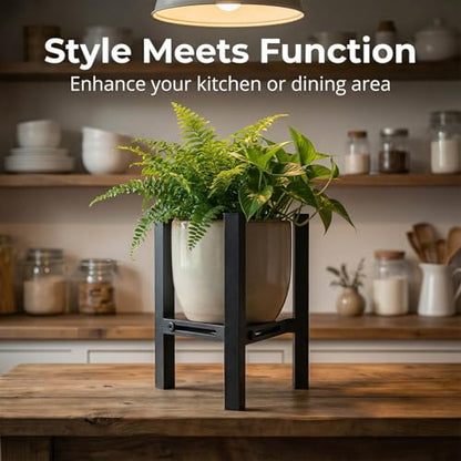 Adjustable Desktop Plant Stand, Metal Plant Shelf Fits 5.1-7.45" Pots for Succulents, Bonsai & Office (Without Pots) - color: Black