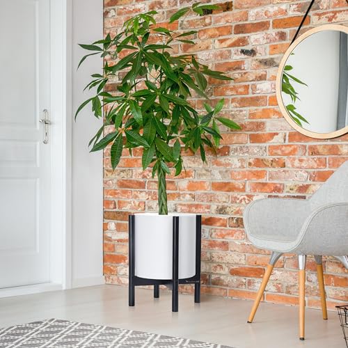 D'vine Dev Plastic Pot with Ebony Wood Stand, White, 12 in, 55-C-Q-1 | Mid-Century Inspired Design, Elevated Plant Display, Clean Lines, Sturdy Support, Modern Space-Saving Style - color: Matte White Pot + Ebony Stand, size: 12 Inch