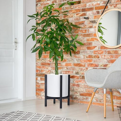 D'vine Dev Plastic Pot with Ebony Wood Stand, White, 12 in, 55-C-Q-1 | Mid-Century Inspired Design, Elevated Plant Display, Clean Lines, Sturdy Support, Modern Space-Saving Style - color: Matte White Pot + Ebony Stand, size: 12 Inch