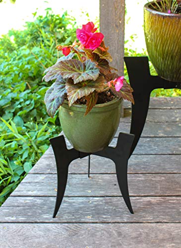 Achla Designs FB-71 Ibex Plant Stand, Black - size: 12-in H