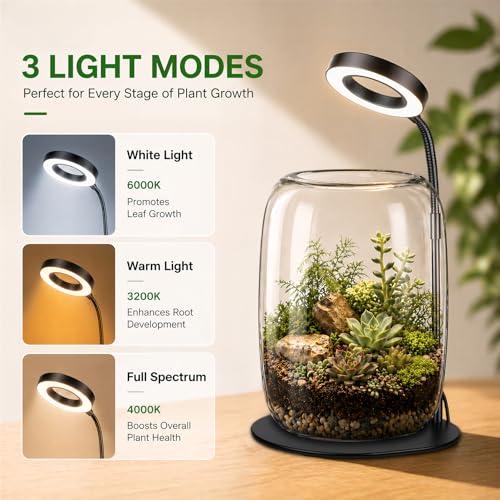 7X Aperture Grow Light for Indoor Plants, Full Spectrum Mini Desk Plant Light with Glass Terrarium, Height Adjustable LED Grow Lamp for Succulents, Moss & Home Office Gift - size: 7X