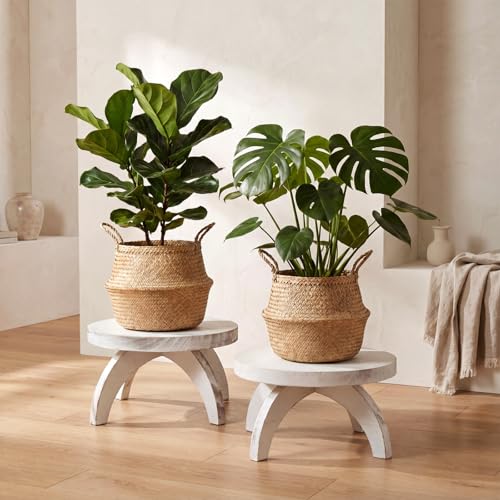 Novabright 2 Pcs Short Plant Stand Small Wood Plant Stool Low Wood Riser Pedestal Display Decor Indoor Outdoor Rustic Farmhouse Table Balcony Decor Board Flower Holder Rise (Round,White) - color: White